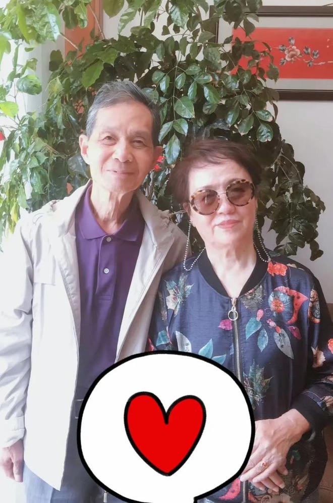 画家祖籍无锡父亲为了母亲留在青岛开元棋牌朱媛媛家庭情况曝光哥是(图4)