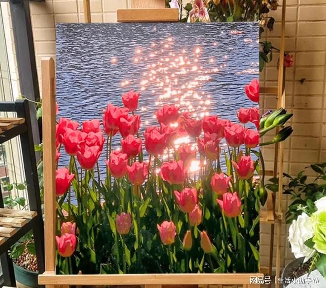 送什么礼物好这十款真是挖到宝！开元棋牌仙女落泪 女朋友生日(图3)